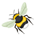 אקוביזי EcoBzee