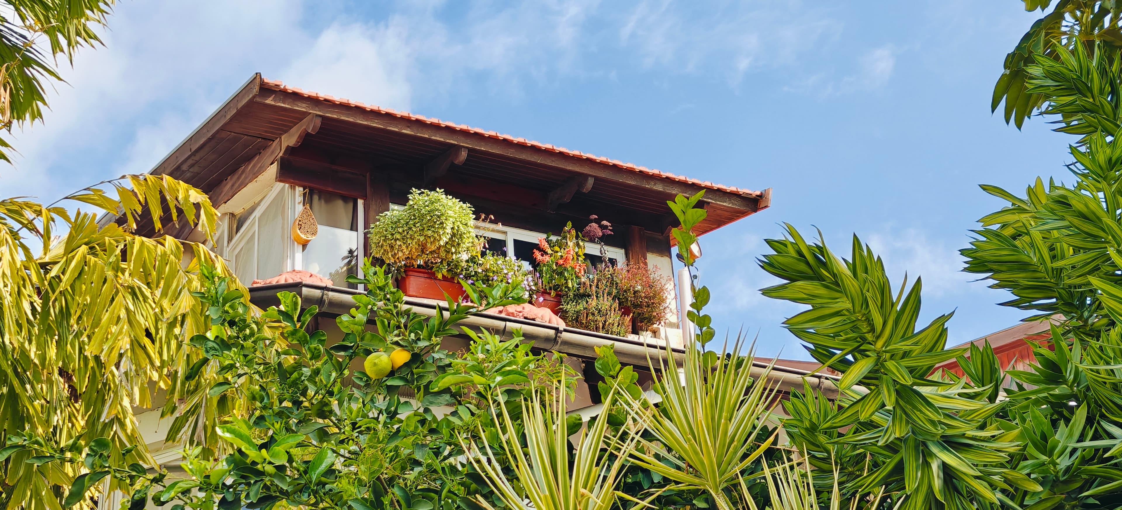 יותר מתואר: מה זה בעצם אגרונום אקולוגי ודבוראי?