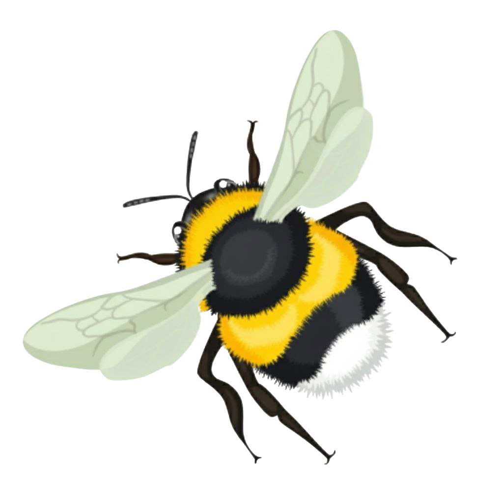 EcoBzee Logo
